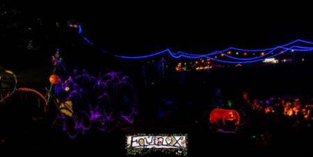 Festival memory 4