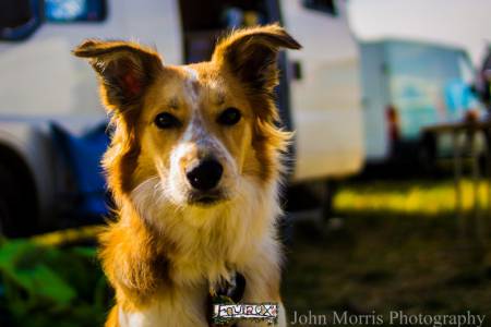 Festival memory 2