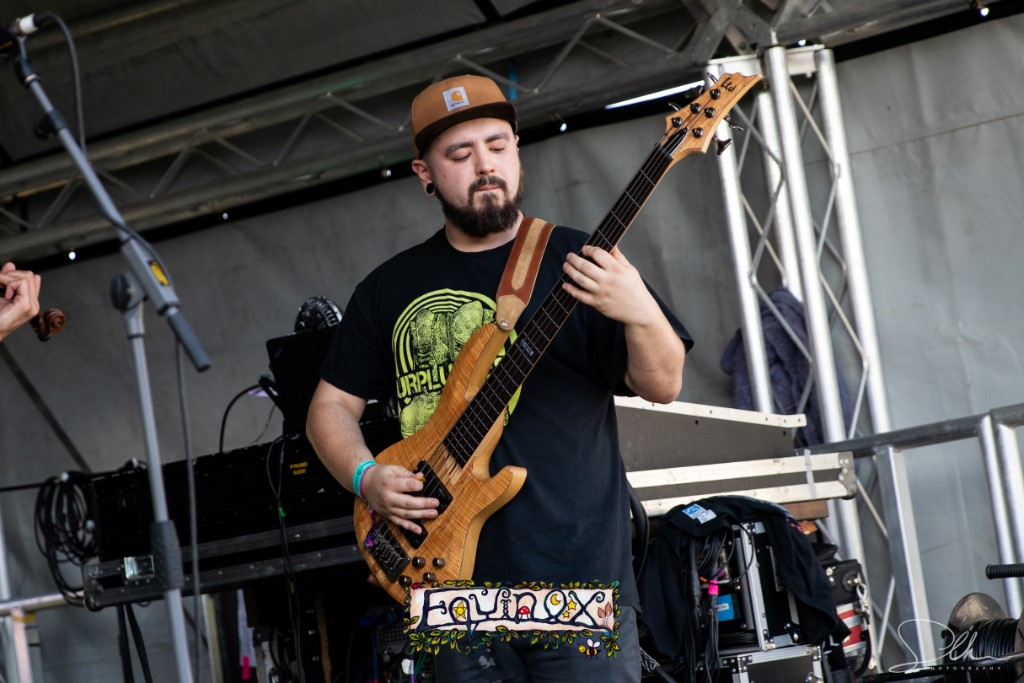 Festival memory 3
