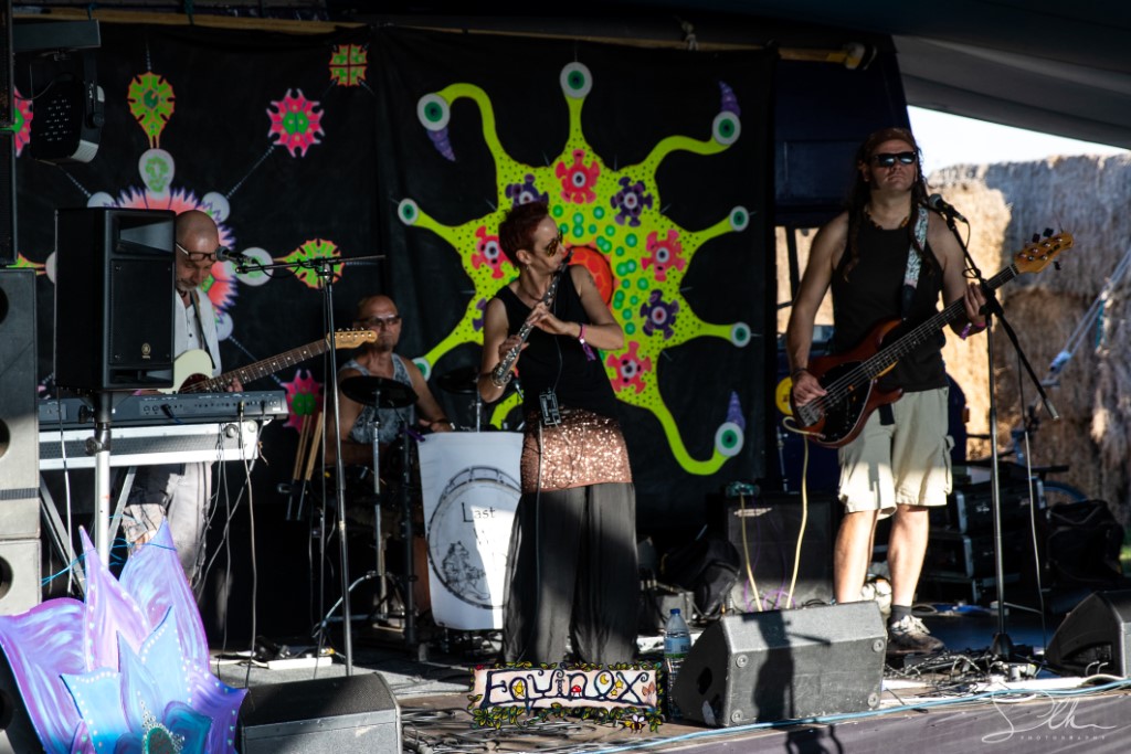 Festival memory 3