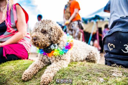 Equinox Festival 2017