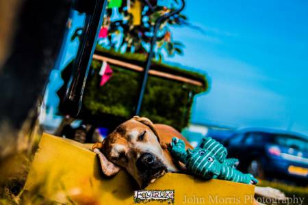 Equinox Festival 2017