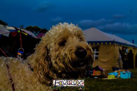 Equinox Festival 2018