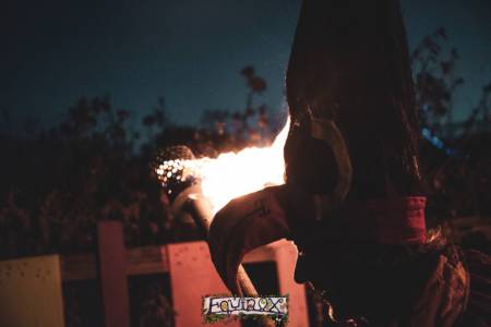 Festival memory 3