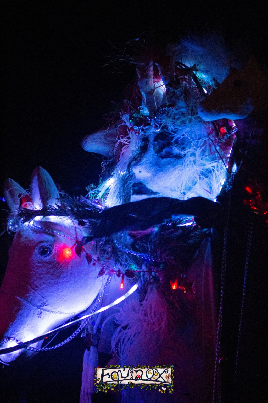 Festival memory 2